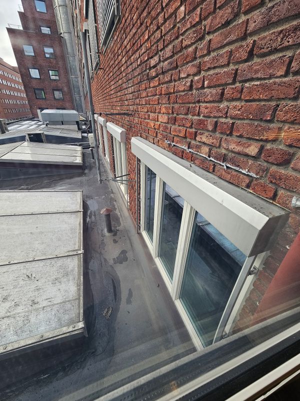 20250312_094127.jpg