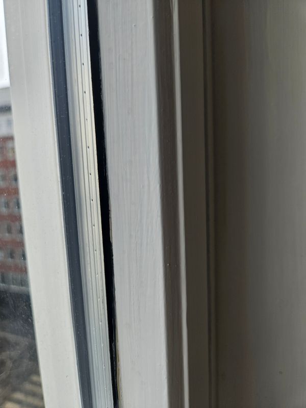 20250312_093050.jpg
