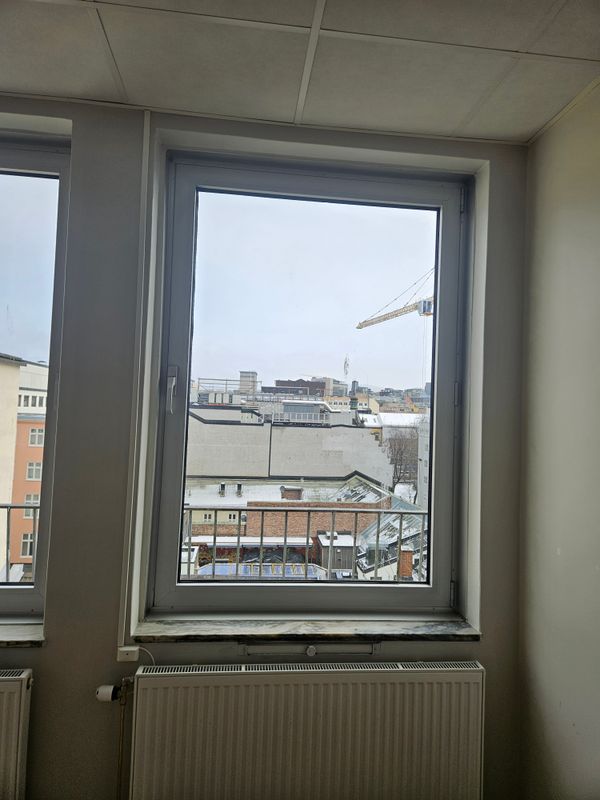 20250312_092348.jpg
