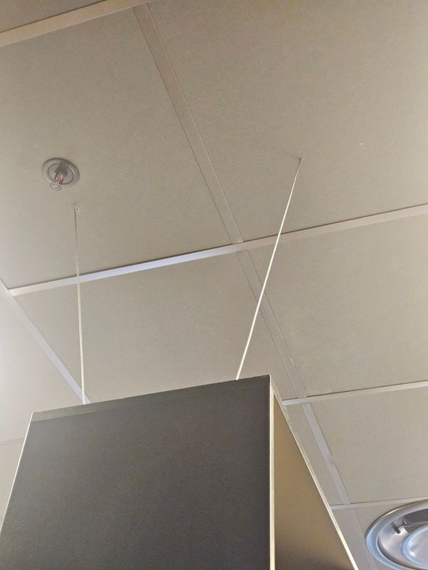 20251020_115254.jpg
