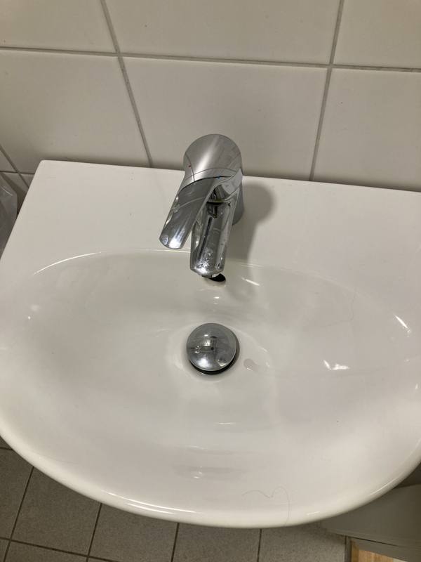 IMG_0139.jpeg